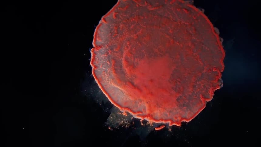 An abstract reddish blob appears to move and spread across a dark surface in a manner akin to bacteria