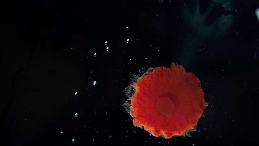 Pink form fills out in dark fluid surrounded by bright bubbles