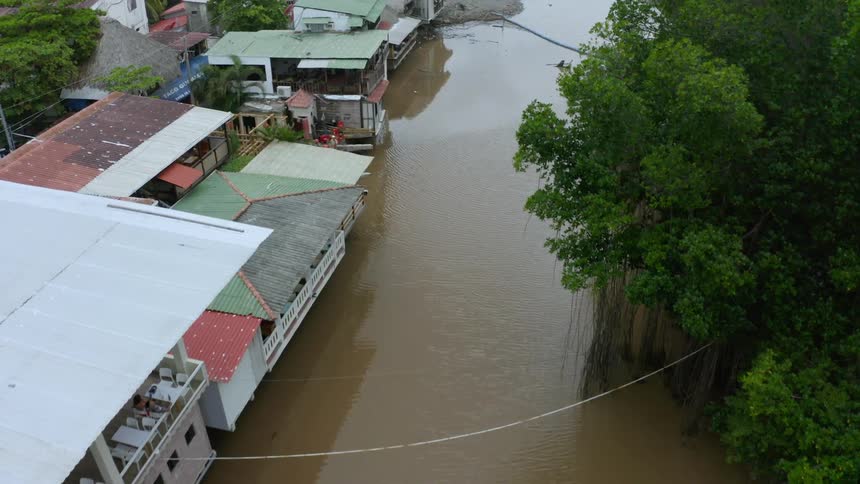 A river with trees and houses