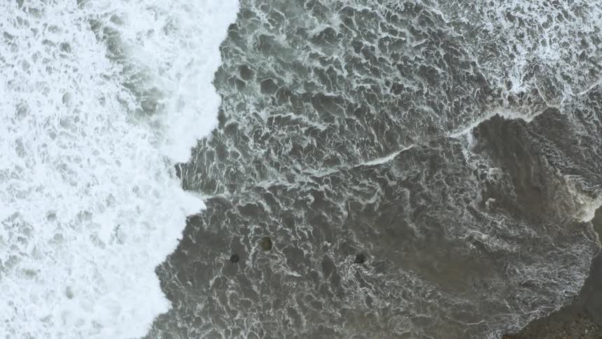 Waves washing up on a shore with trees
