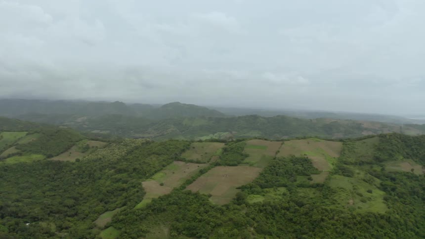 A range of hills that lead to the coast are covered in fields and thick patches of trees