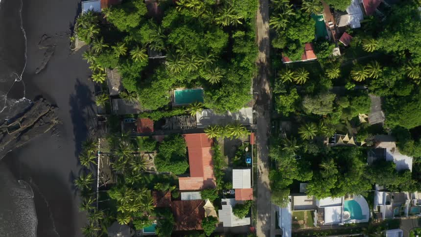 An aerial view of houses and trees on a beach