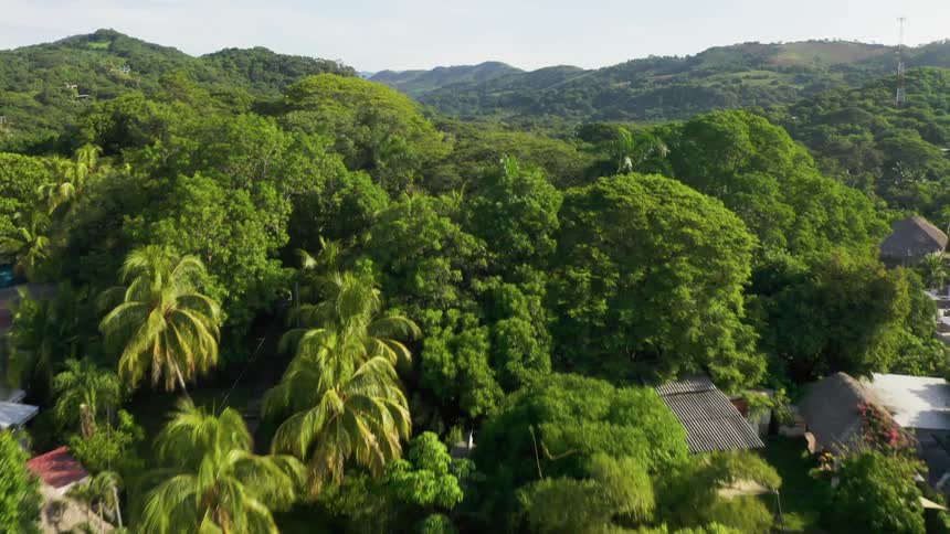 Trees cover this neighborhood