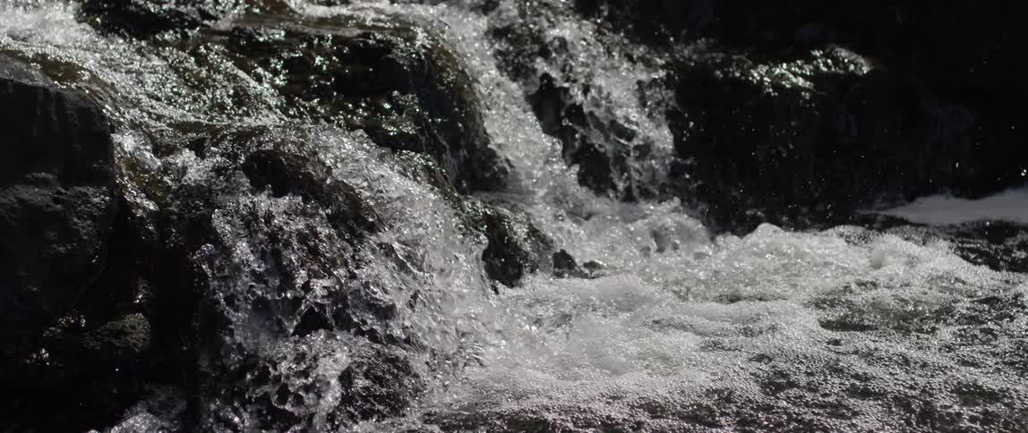 Water rushes over rocks in a stream