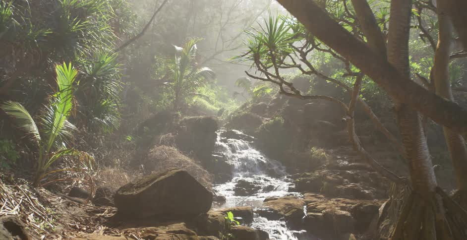 A small flowing stream flowing over rocks in the rainforest