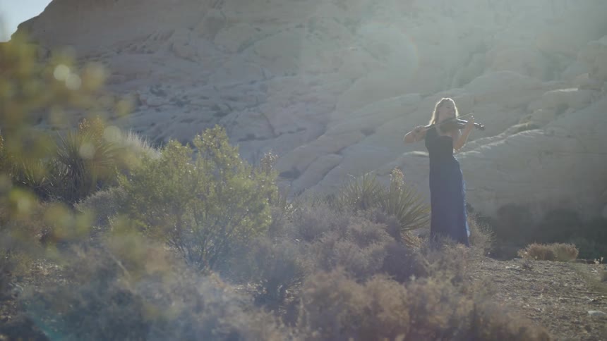 A woman plays violin