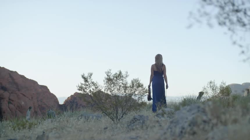 A woman in a gown is holding a violin in the desert
