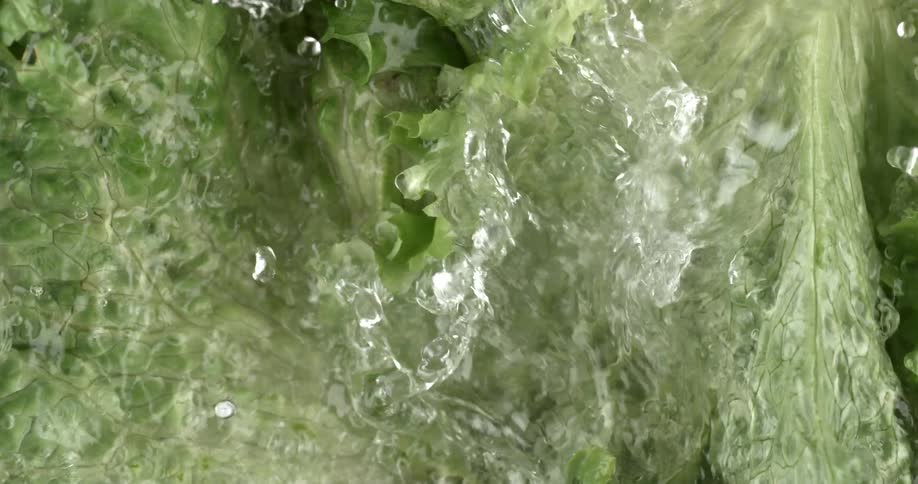 The water pours on the leaves