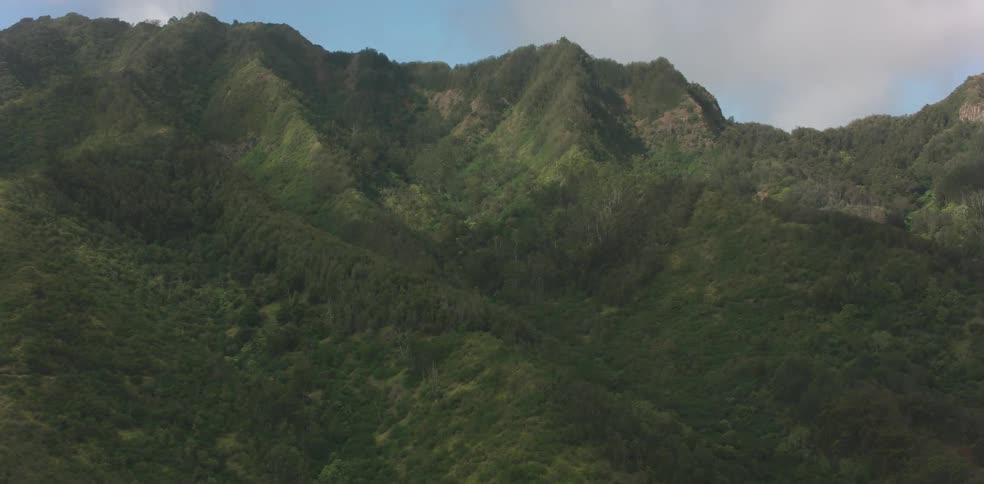 High mountains covered with trees