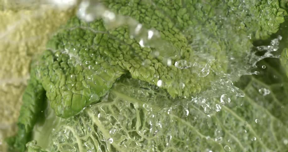 Water is poured onto salad greens