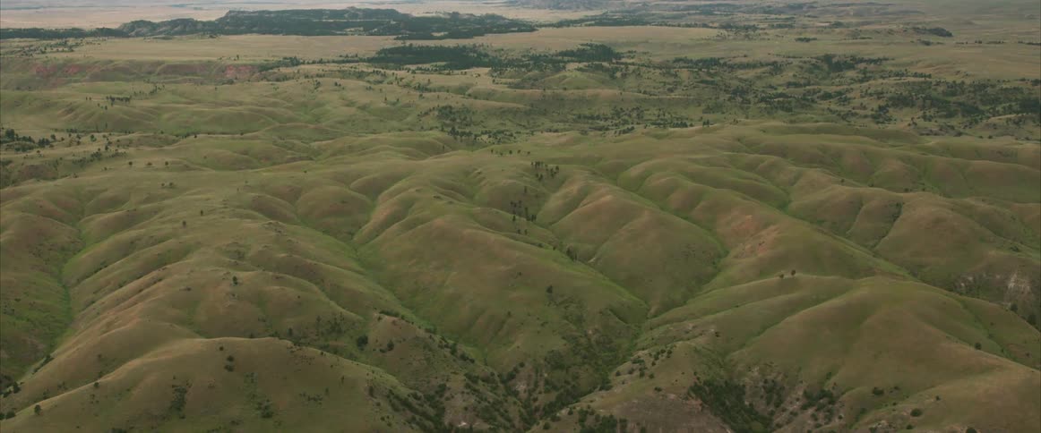 Rolling hills covered in trees and grass