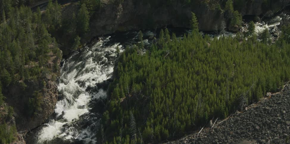 A river cascades down a canyon in a forest