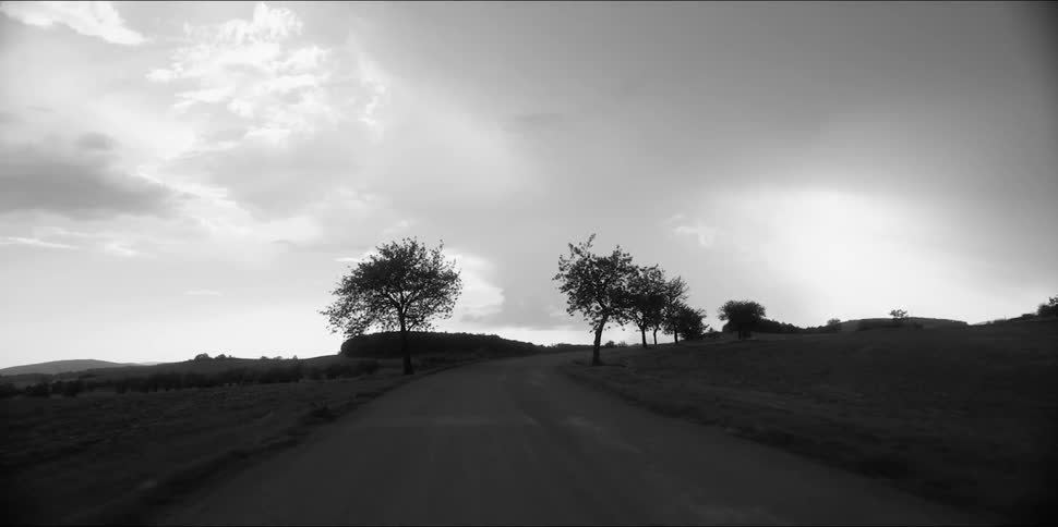 Under a cloudy sky a small road passes by grassy fields and a few trees