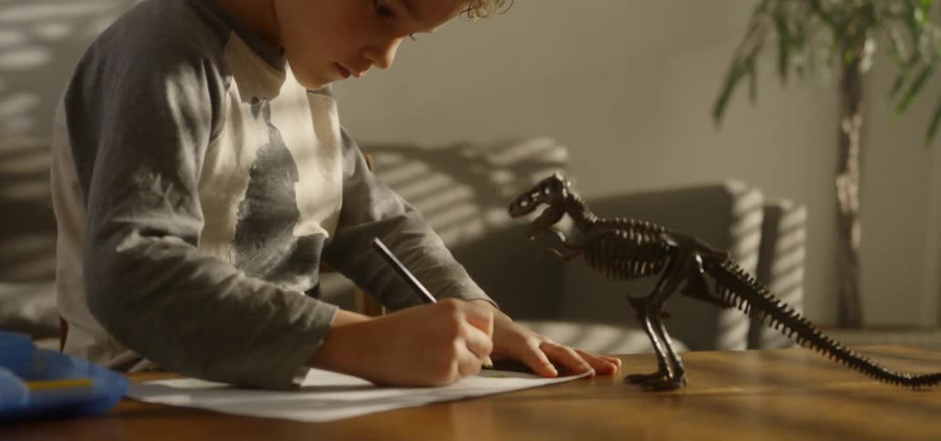 A boy draws his toy dinosaur