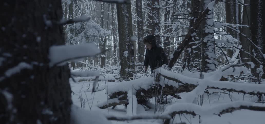 Boy walks through snow covered forest