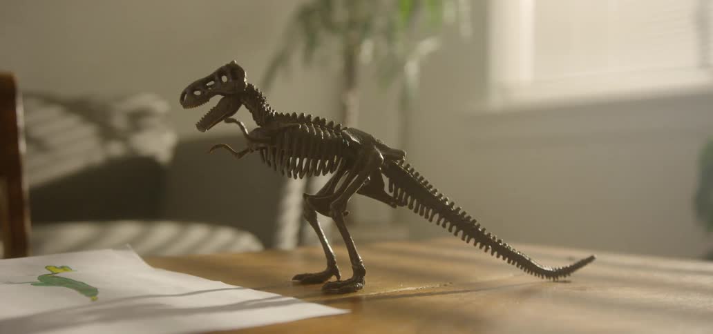 A dinosaur skeleton model is on the table