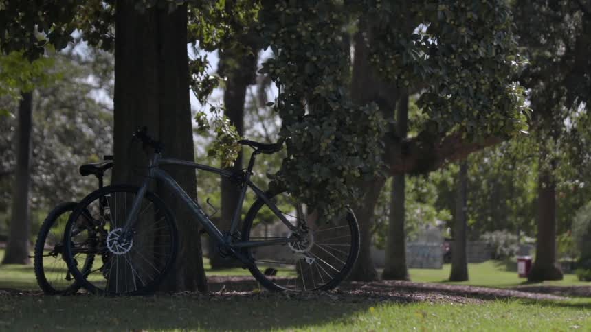 View of two bicycles propped against a tree as some people pass through the shot