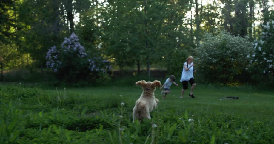 Little dog jumps on the green grass to the woman and child in the forest