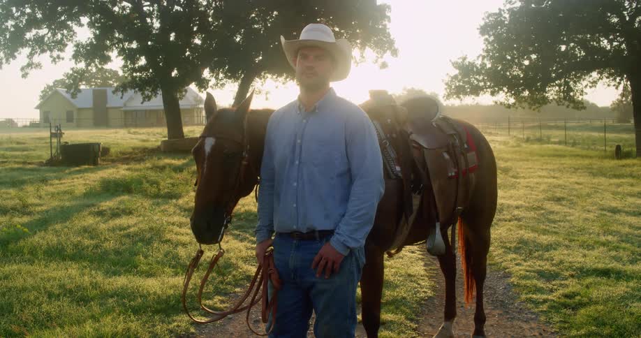 A man stands in a middle of a green field and holds a horse by the bridle
