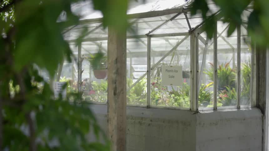 A garden in a greenhouse