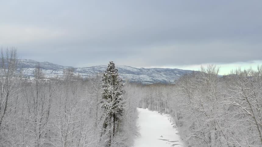 A snow covered road cuts through the trees heading toward a mountain on the horizon