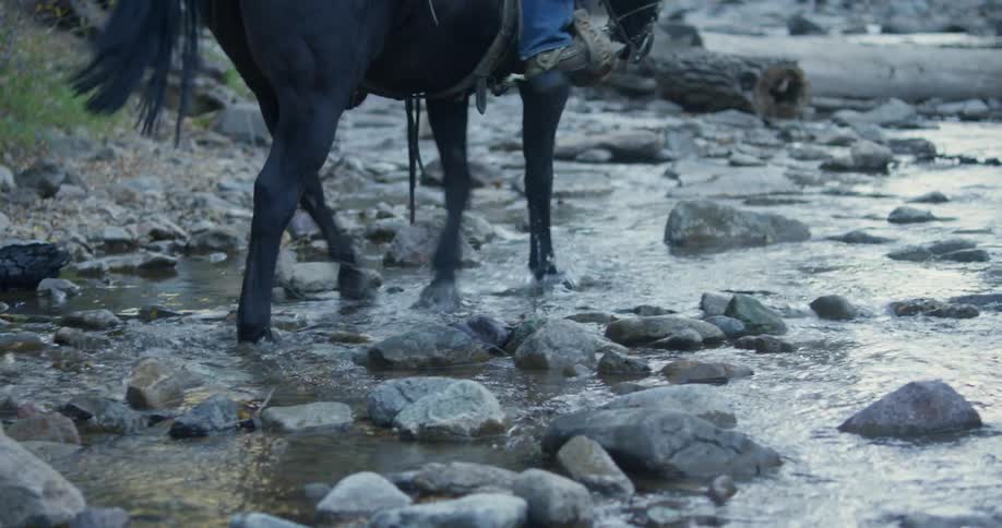 Men riding horses crossing a stream