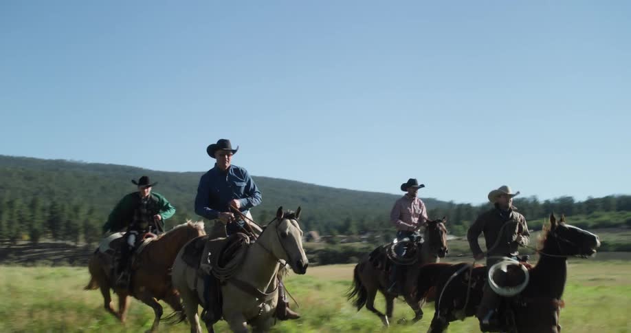 Cowboys ride horse across field bordered by forest and mountain toward cattle