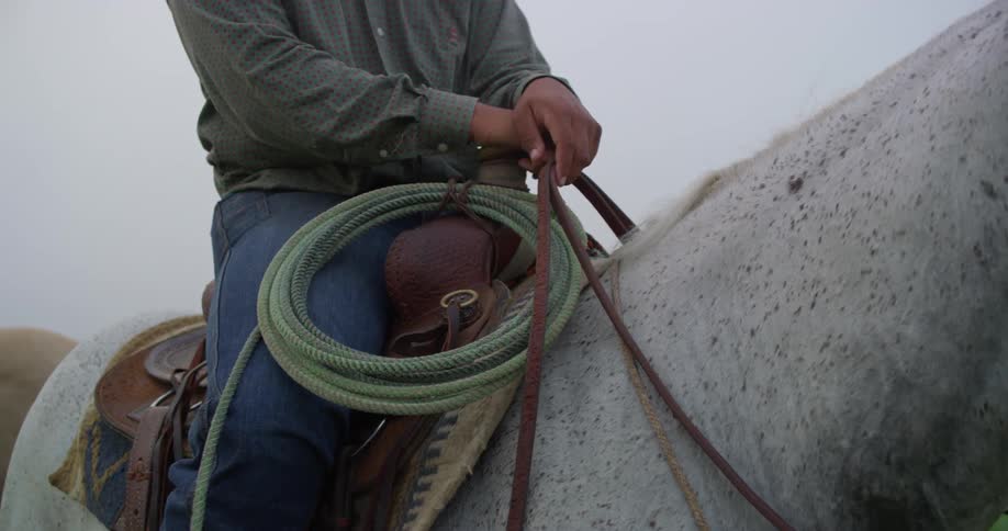 A man sits on a horses back