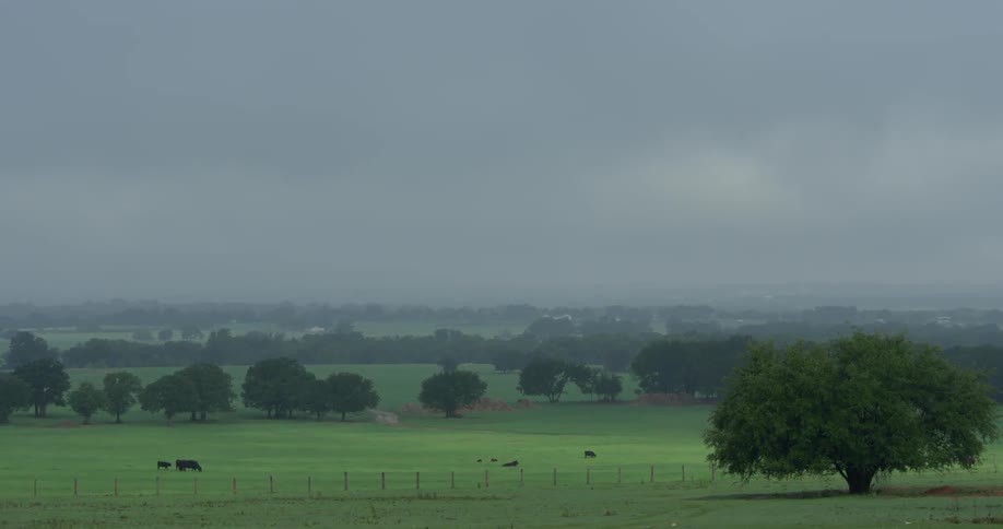 Storm clouds hover over green pastures