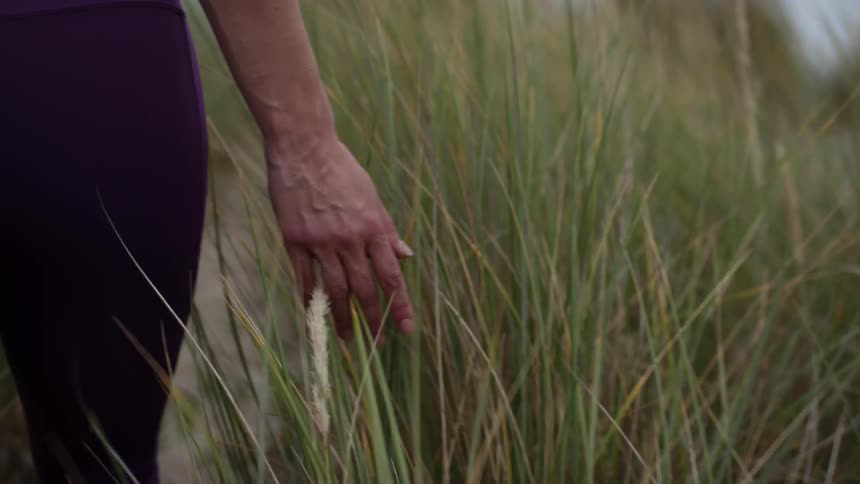 Female walking through a wheat field and brushing her hands across the blades