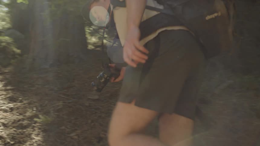 Male photographer walks up the forest track in the forest on a sunny day
