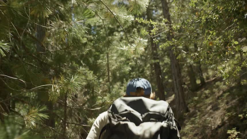 A young man hikes through a forest