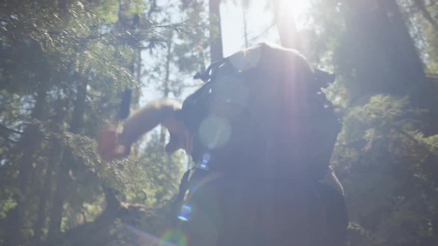 A man wearing a large backpack makes his way uphill along a forest path