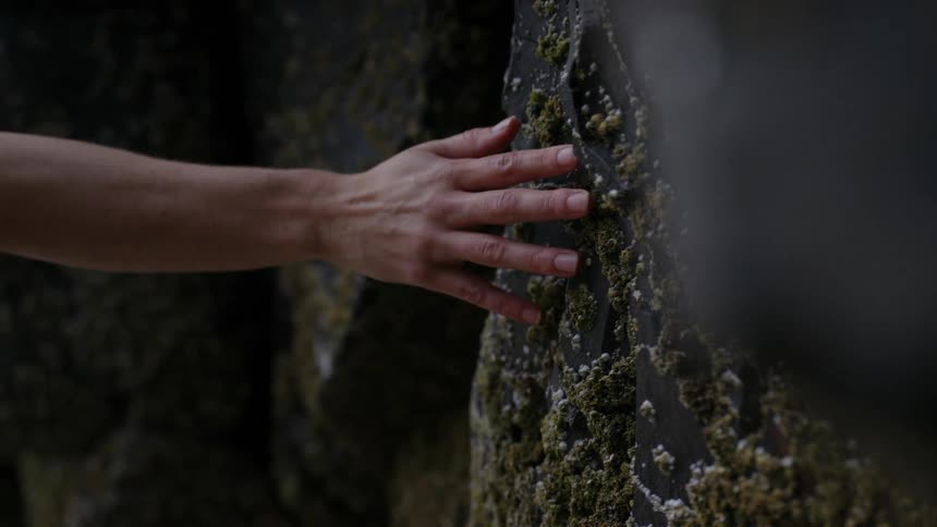 The person touches the moss