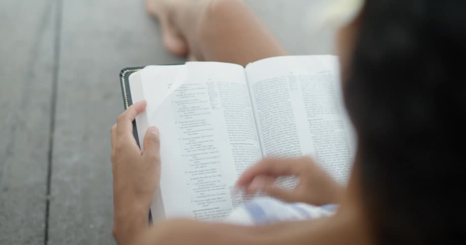 A person reads a book outside