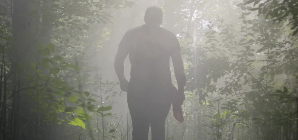 A man walking in the woods in daylight