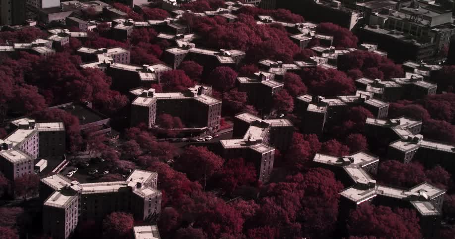 Many buildings among trees
