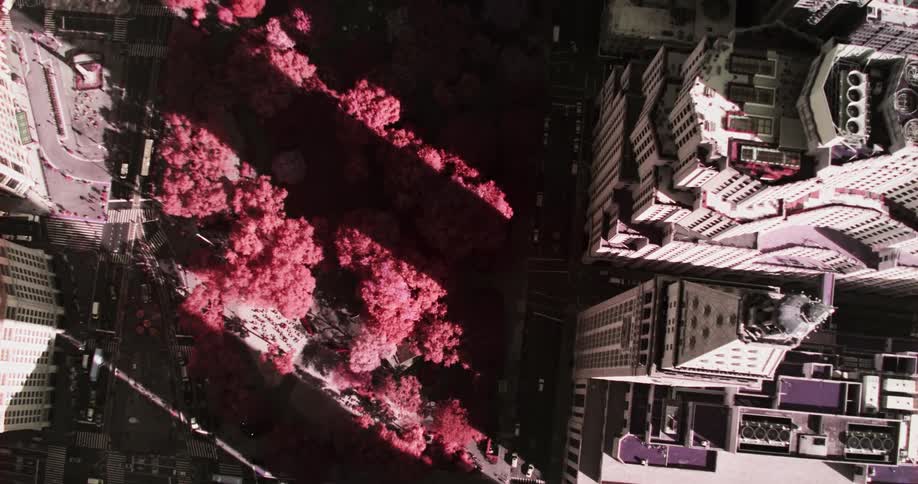 Buildings from above