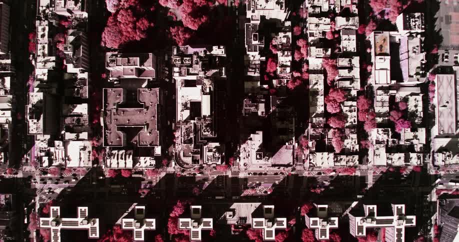 Tall urban buildings in rows