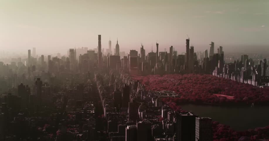 An aerial view of skyscrapers in a large city on a smoggy day