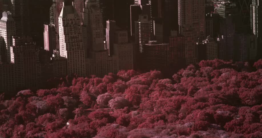 The city below is covered with fog