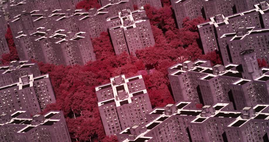 Roof tops of apartment buildings surrounded by trees in grayscale