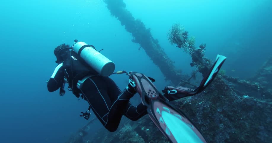 A diver swims in the ocean