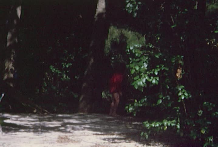 A young boy walks a little ways from the sand into the bushes to take a peek at something