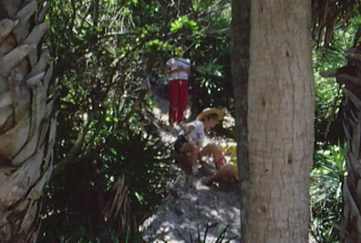 Children sliding and horsing around on a steep sand path between palm trees