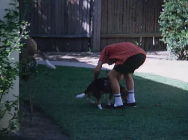 A boy is chasing some dogs in a yard