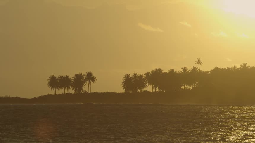 Sunset over palm trees on a beach