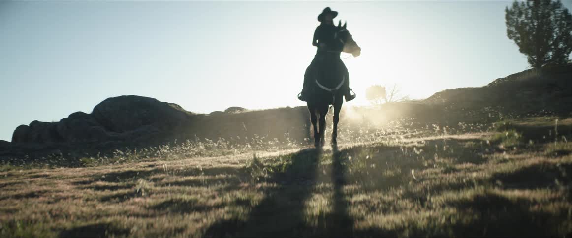 A woman rides a horse across a field