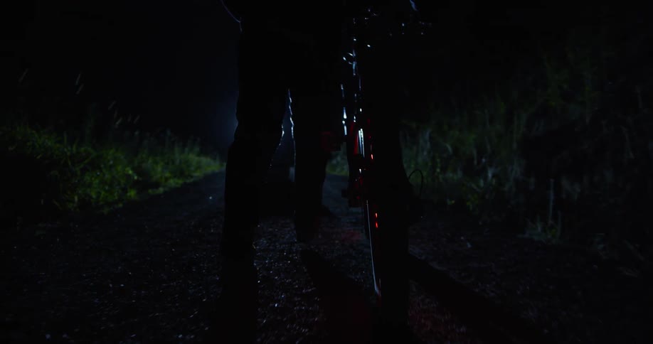A person walking a bike at night down a path