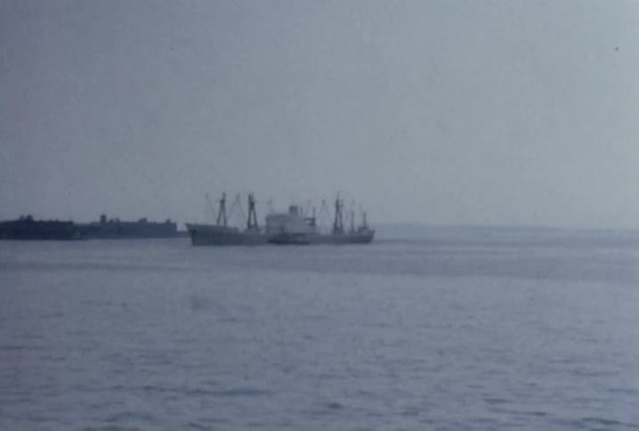 Boats anchored in a harbor
